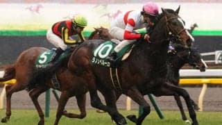 【日本ダービー】出走馬の調教後の馬体重