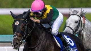 宝塚記念ファン投票 第1回中間発表！