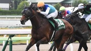 【次走】アドマイヤジャスタは鳴尾記念へ 約10カ月ぶりの復帰