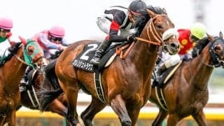 【次走】カレンシュトラウスは函館記念へ 前走OPクラスを上がり最速で勝利