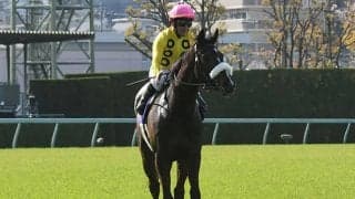 サークルオブライフとエリカヴィータは放牧へ 国枝師「秋は秋華賞を目指す」