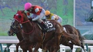 【葵S枠順確定】ウインマーベルは4枠7番、コラリンは8枠16番