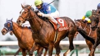 【目黒記念枠順確定】アリストテレスは7枠15番、マカオンドールは7枠13番