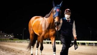 モジアナフレイバーが引退