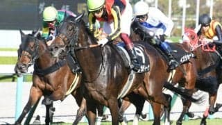 【鳴尾記念想定】復帰戦のヴェルトライゼンデはD.レーン騎手、名牝の娘ジェラルディーナは福永祐一騎手