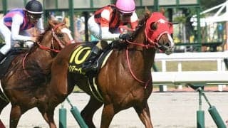 【葵S予想】昨年は13番人気が優勝！ 重賞勝ち馬も沈む波乱の条件