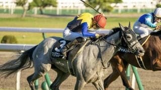 【次走】マリアエレーナは引き続き坂井瑠星騎手とのコンビでマーメイドSへ