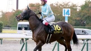 【次走】韋駄天Sを勝利したマリアズハートはアイビスSDへ