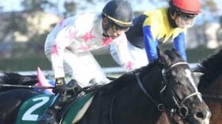 【日本ダービー 注目馬(16)】マテンロウレオ獅子奮迅 若武者とともに挑む夢の舞台