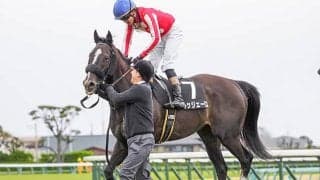 【次走】韋駄天S5着のルッジェーロは函館スプリントSへ