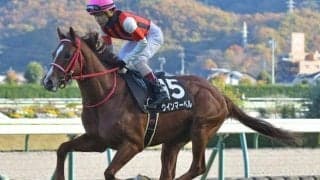 【今日の注目ポイント】中京で3歳スプリント重賞・葵S