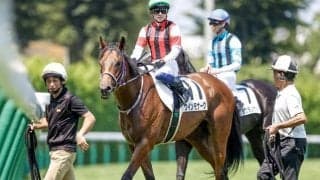 【葵S予想】3歳スピード巧者が雌雄を決する一戦