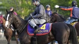 日本ダービーでは人馬の信頼関係が不可欠。愛馬ととも成長してきた若武者の一発に期待