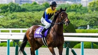 【次走】重賞3勝馬ユーキャンスマイルは札幌記念への参戦を視野に