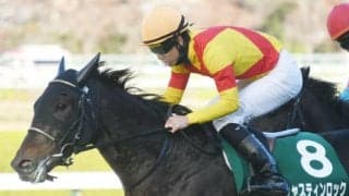 【日本ダービー 注目馬(18)】ジャスティンロック大一番へ　夢の舞台へ掴んだ好機
