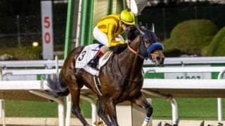 【門別・北海道スプリントC枠順確定】ダンシングプリンスは1枠1番、リュウノユキナは7枠8番