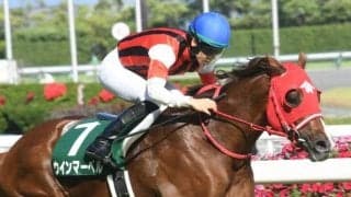 【葵S結果】ウインマーベルが抜け出して完勝 人気に応え重賞初V