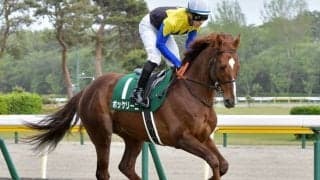 【目黒記念前日オッズ】ボッケリーニが5.9倍で1番人気、上位は大混戦