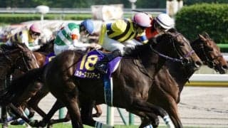 牝馬2冠スターズオンアースが骨折