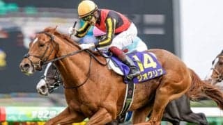 【今日の注目ポイント】競馬の祭典・日本ダービー、最終は伝統のハンデ戦・目黒記念