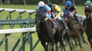 【目黒記念予想】ダービーの後は毎年恒例、伝統のハンデ重賞