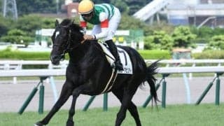 【日本ダービー予想】4連勝中のディープ産駒は今年も強い？ 1枠だけじゃない好走枠＆勝馬出ていない枠は？