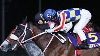 【浦和・さきたま杯枠順確定】シャマルは6枠6番、ヘリオスは4枠4番