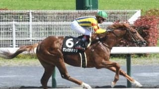 【JRA・WIN5】ダービーデーのWIN5は的中68票、配当810万7180円