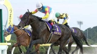 【佐賀・九州ダービー栄城賞結果】イカニカンが差し切り決め二冠目を制す