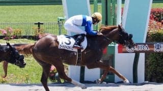 【東京5R】8番人気 ロードジャスティスが2勝目