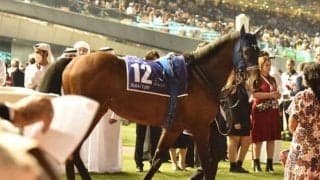 春のマイル王決定戦・安田記念、2歳新馬戦スタートなど/今週の競馬界の見どころ