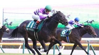 【安田記念登録馬】イルーシヴパンサーなど21頭