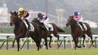 【鳴尾記念登録馬】ヴェルトライゼンデなど12頭