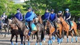 コマンドラインの半妹エルダーサインがC.ルメール騎手でデビュー/関東馬メイクデビュー情報