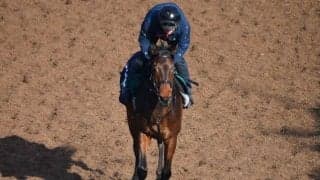 1億6000万円で落札されたロードカナロア産駒、リアリーホットがデビュー/関西馬メイクデビュー情報