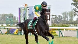 【鳴尾記念想定騎手】ヴェルトライゼンデはD.レーン騎手、サンレイポケットは鮫島克駿騎手