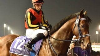 【安田記念想定騎手】シュネルマイスターはC.ルメール騎手、イルーシヴパンサーは田辺裕信騎手