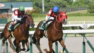 ダート勝ち星が芝の3倍以上アイルハヴアナザー産駒 芝の重賞初制覇