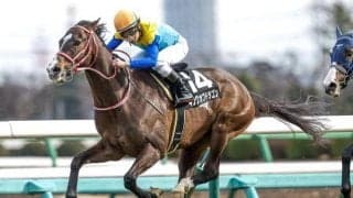 【鳴尾記念展望】好走傾向に合うあの馬の巻き返しを期待したい