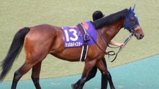 【安田記念予想オッズ】前年3着のシュネルマイスターが予想1番人気