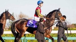 【鳴尾記念予想オッズ】長欠明けのヴェルトライゼンデが予想1番人気