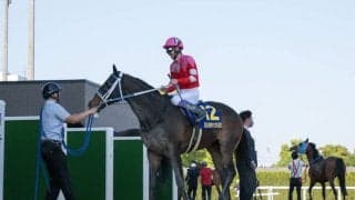 【さきたま杯】武豊 ヘリオスは4枠4番