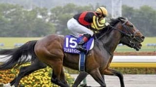 安田記念でシュネルマイスターは新たな「マイル王」になれるのか。気になる点が２つある