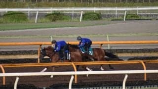 ダイヤモンドハンズなど、新馬戦最終追い切りレポート/栗東トレセンニュース