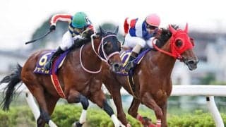 【浦和・さきたま杯結果】8歳牝馬サルサディオーネが逃げ切り大接戦を制す