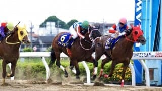 【さきたま杯】サルサディオーネが交流重賞5勝目！ゴール前は3頭激戦