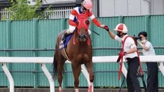 【さきたま杯】矢野「差し返してくれた」サルサディーネ大接戦を制する