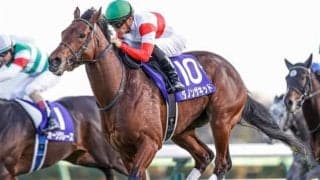 【安田記念予想】AIの指名馬に不安無し  春のマイル王決定戦で“ぜひとも買いたい実績馬”とは？