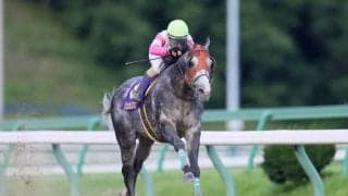 【北海道スプリントC】リュウノユキナは7枠8番