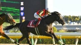 安田記念に強い「ストームキャットの血」。狙いは充実期を迎えている２頭の牝馬